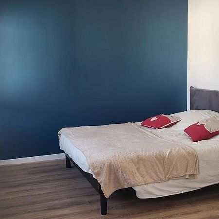 Magnifique Appartement Le Marronnier クソンリュプト・ロンジュメール エクステリア 写真