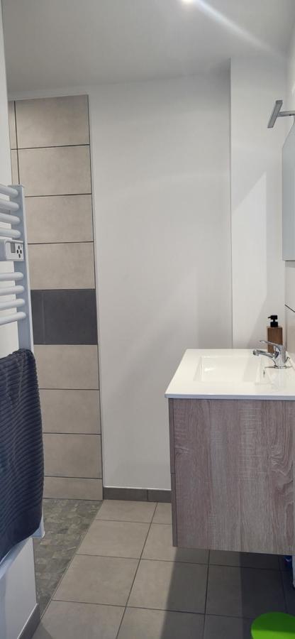 Magnifique Appartement Le Marronnier クソンリュプト・ロンジュメール エクステリア 写真